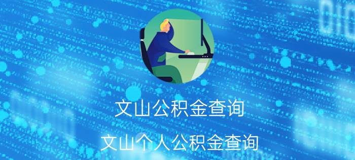 文山公积金查询 文山个人公积金查询 文山住房公积金网上查询 文山住房公积金网